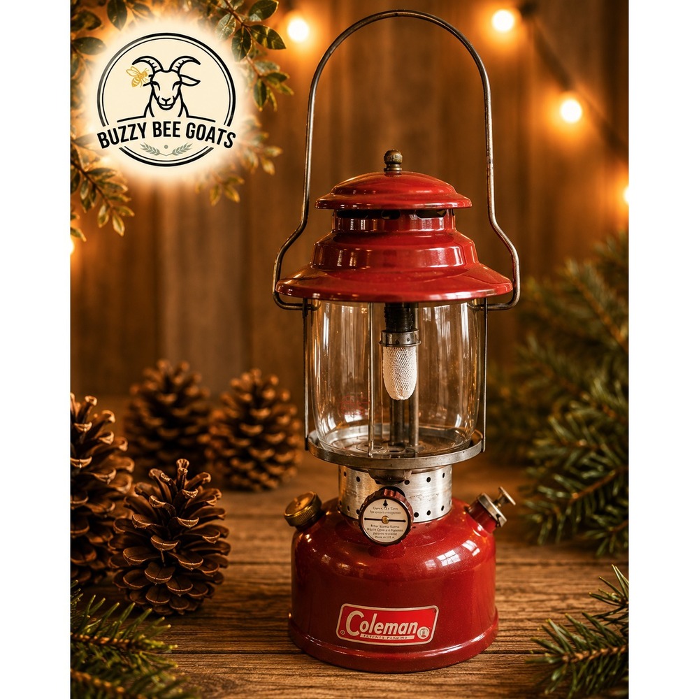 VINTAGE COLEMAN 200A CAMP LANTERN SINGLE MANTLE RED GAS LANTERN USA MADE